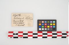 Etikett zu Bronzemehrkopfnadel (NHMW-PRAE-026476)